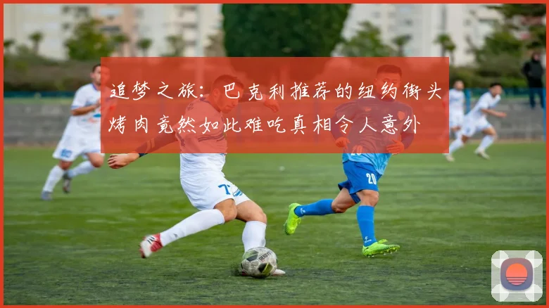 追梦之旅:巴克利推荐的纽约街头烤肉竟然如此难吃真相令人意外
