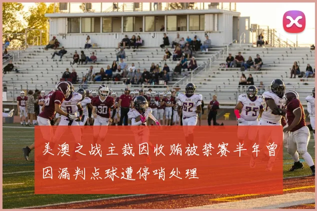 美澳之战主裁因收贿被禁赛半年曾因漏判点球遭停哨处理