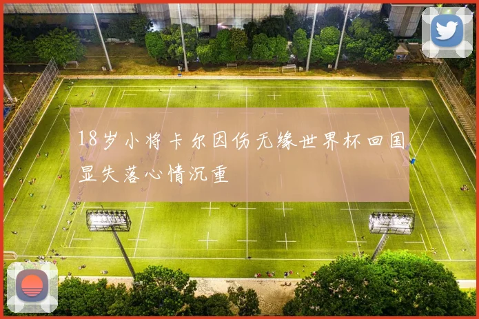 18岁小将卡尔因伤无缘世界杯回国显失落心情沉重
